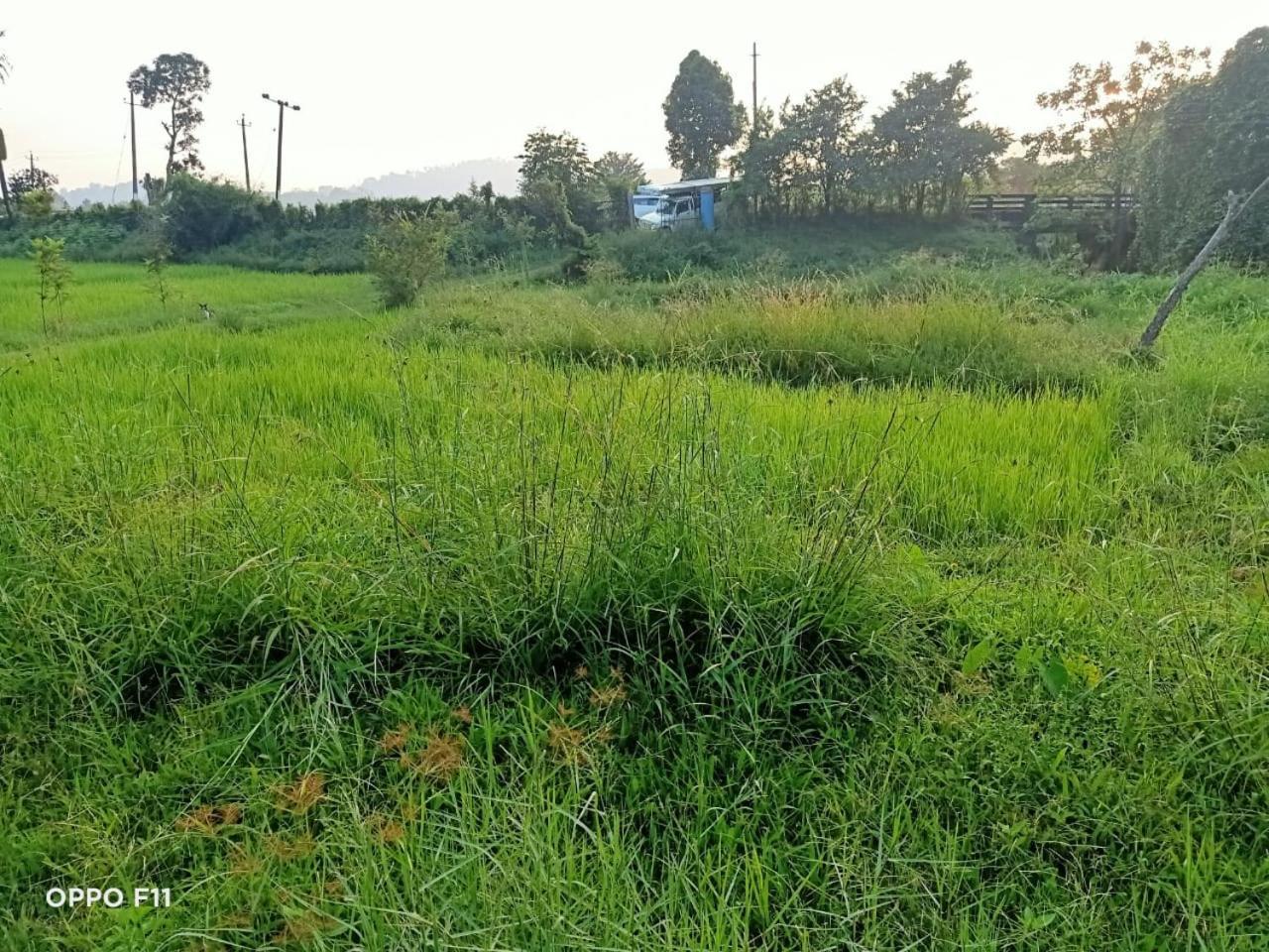 Samz Estate Stay 2Bhk Madikeri Kültér fotó